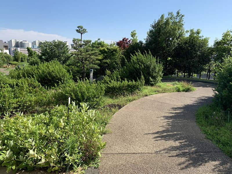 中目黒情報サイト　目黒天空庭園　緑道