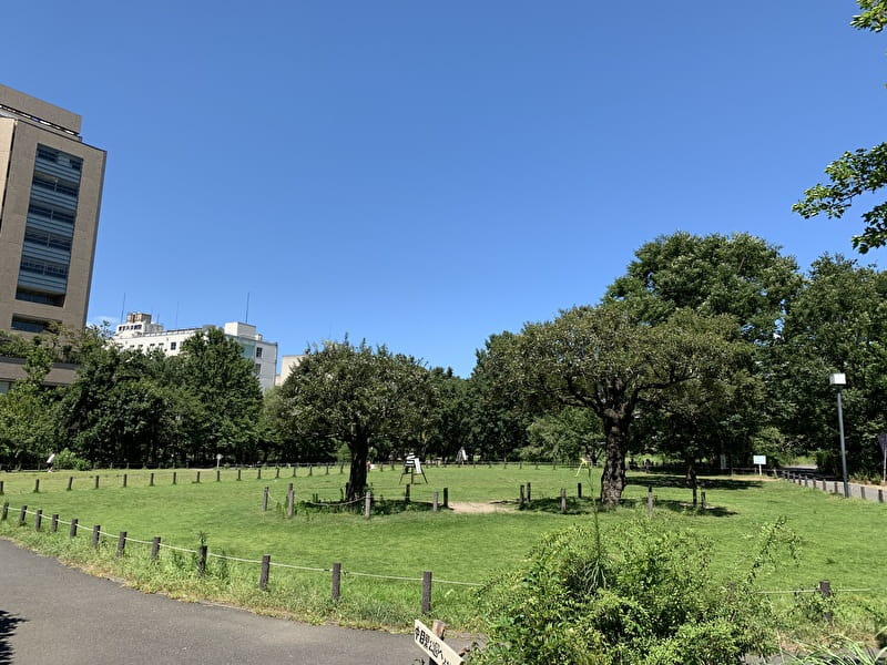 中目黒公園　広場