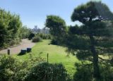 中目黒情報サイト　中目黒　目黒天空庭園　緑道